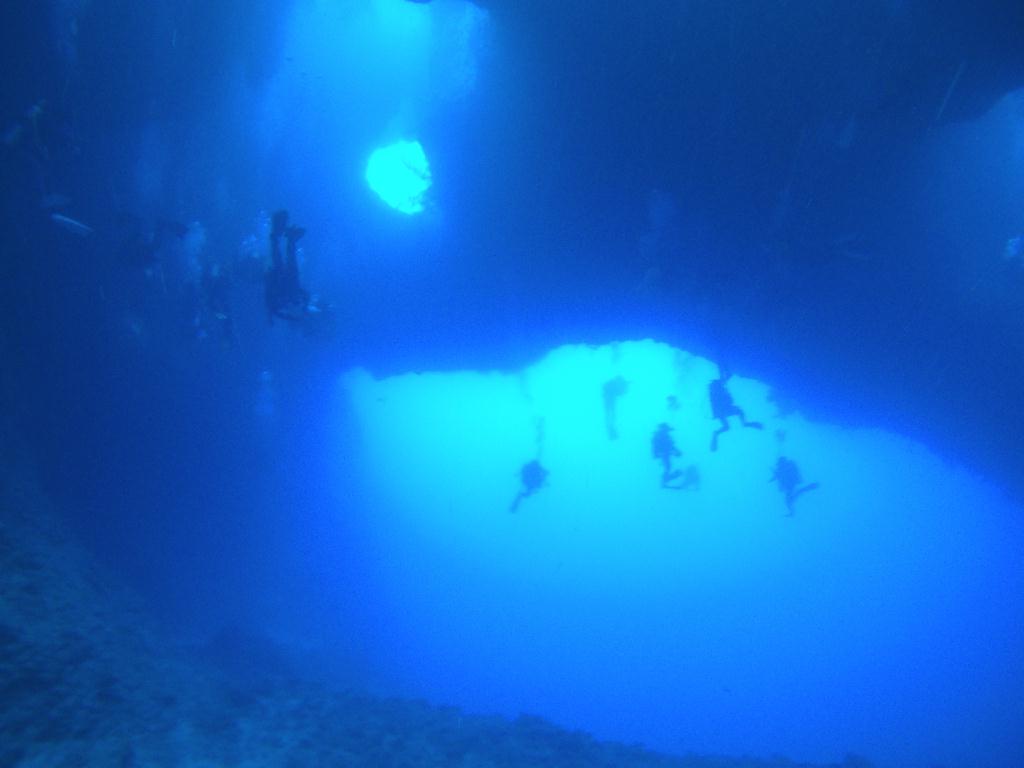 팔라우 다이빙 2일차 - Palau - Blue Hole