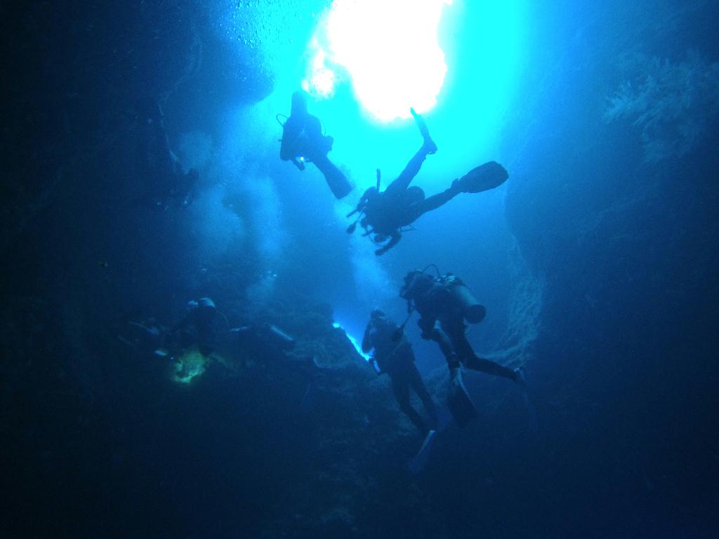 팔라우 다이빙 2일차 - Palau - Blue Hole