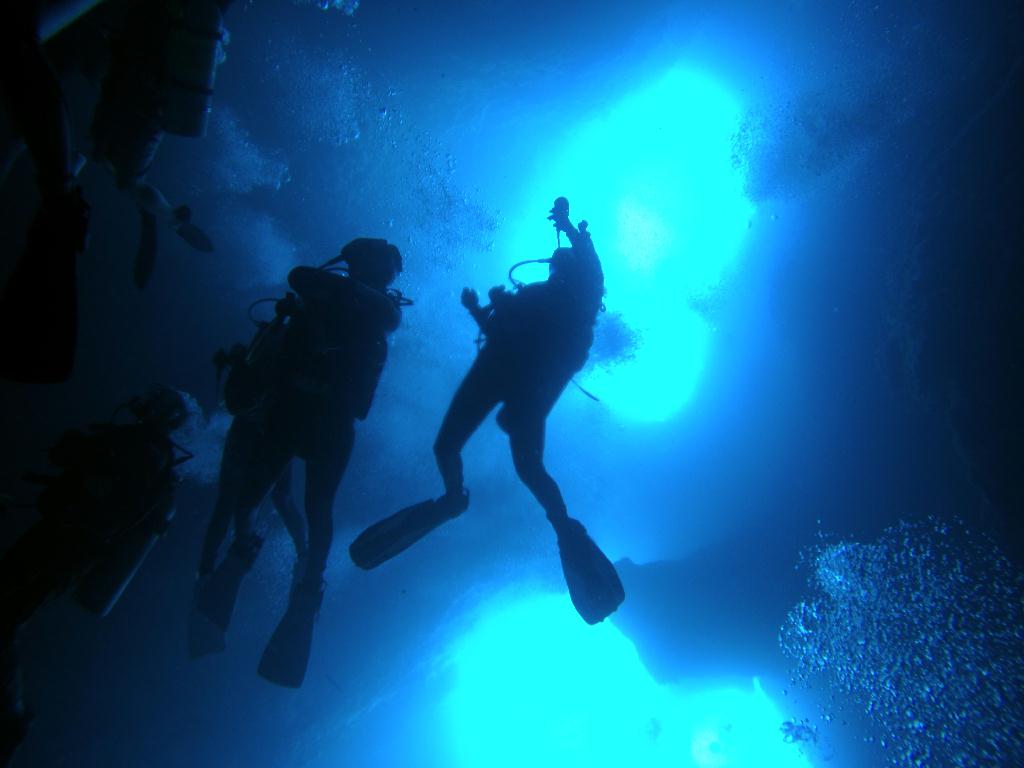 팔라우 다이빙 2일차 - Palau - Blue Hole