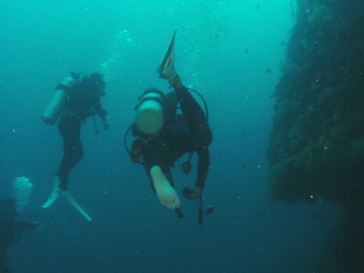 펀다이빙 - 필리핀 모알보알 블루스타 리조트 - 페스카도르(서)