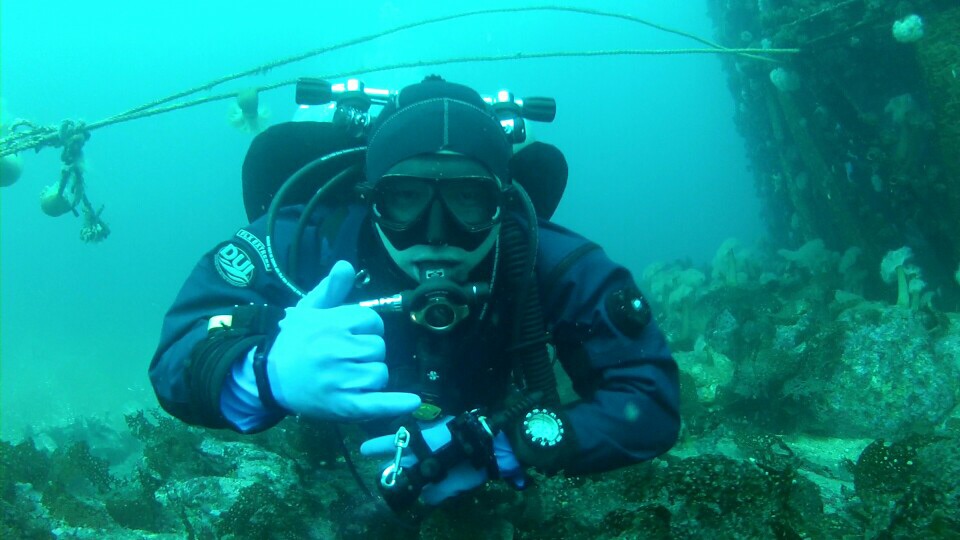 펀다이빙 - 남애 스쿠바 리조트 - 삼동어초