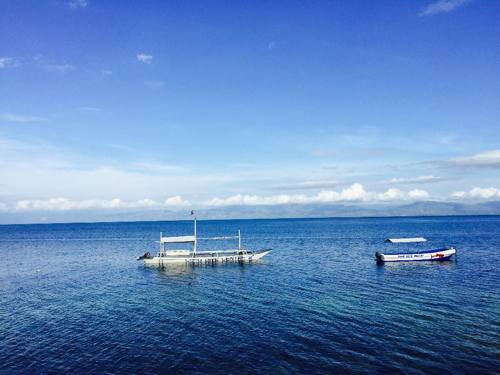 Fun diving - Moalboal - Tongo santuary