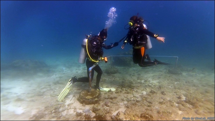 어드 항법 - CEBU - DIVELAB HOUSE REEF