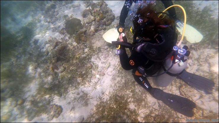 어드 항법 - CEBU - DIVELAB HOUSE REEF