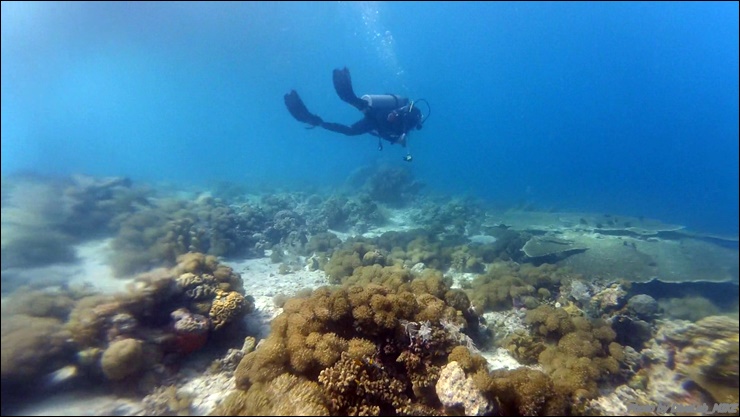 펀다이빙 리딩 - CEBU - 난루수완