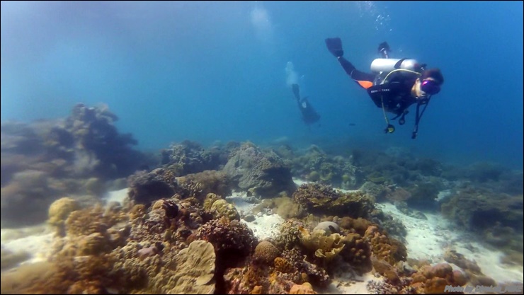 펀다이빙 리딩 - CEBU - 난루수완
