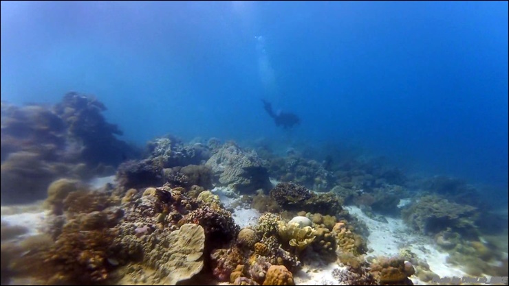 펀다이빙 리딩 - CEBU - 난루수완