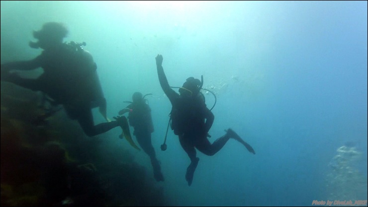 펀다이빙리딩 - CEBU - 떼끼떼끼