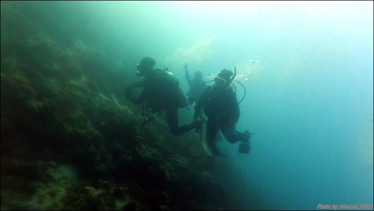 펀다이빙리딩 - CEBU - 떼끼떼끼