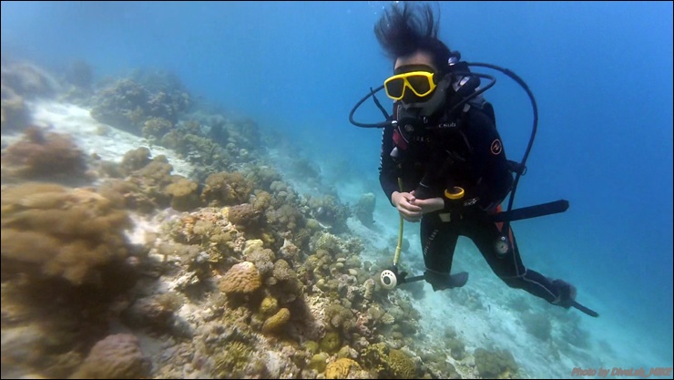 펀다이빙 리딩 - CEBU - 난루수완