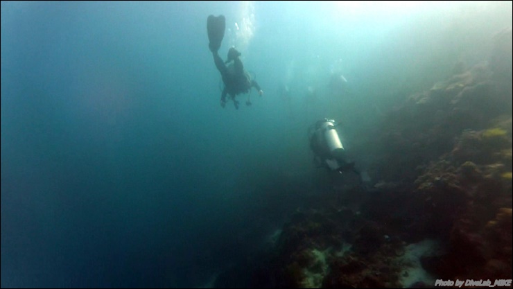 펀다이빙리딩 - CEBU - 떼끼떼끼