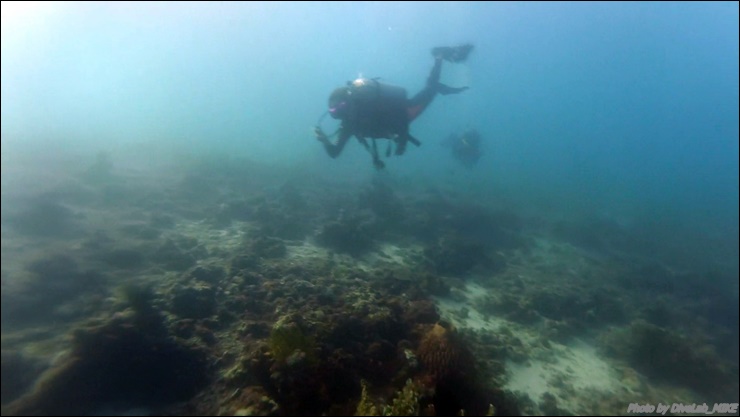 펀다이빙리딩 - CEBU - 떼끼떼끼
