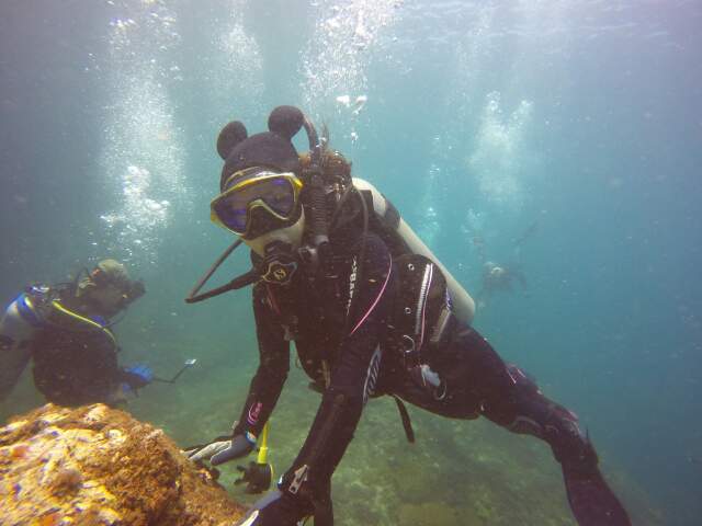 교육다이빙 - 세부(말라파스쿠아) - Chocolate island