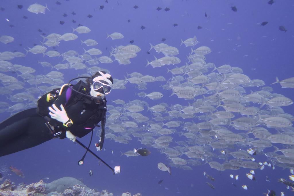 펀다이빙 - 팔라우 - blue corner