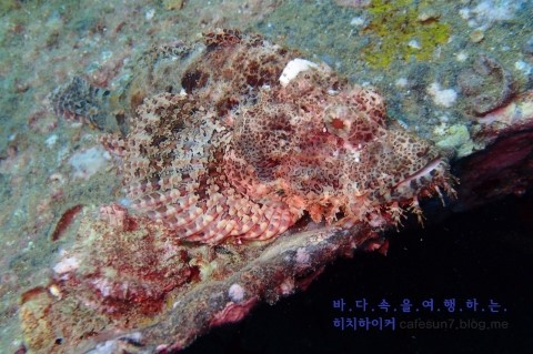 Similan M/V Camic - Boonsung Wreck
