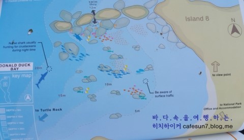 나이트다이빙 - Similan M/V Camic - Donald Duck Bay Is.8