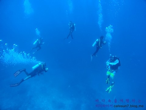 Similan M/V Camic - Deep Six Is.7