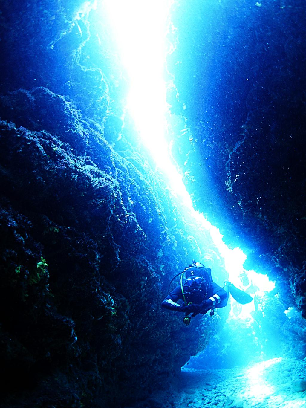 Tokashiki Seafriend Dive - 토다이시타