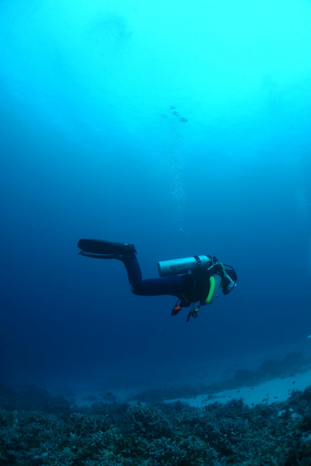 Okinawa Seasir Dive - Jitsuru