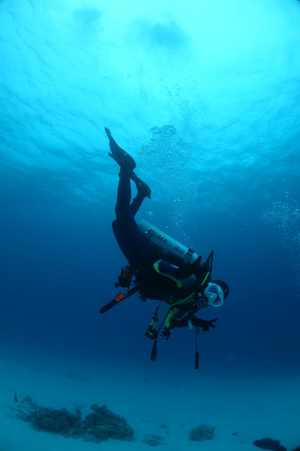 Okinawa Seasir Dive - Jitsuru
