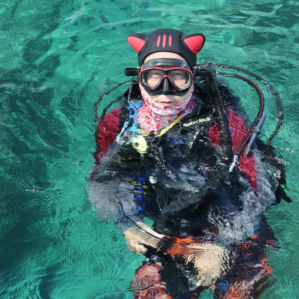 Fun dive - Lion scuba dive - House reef