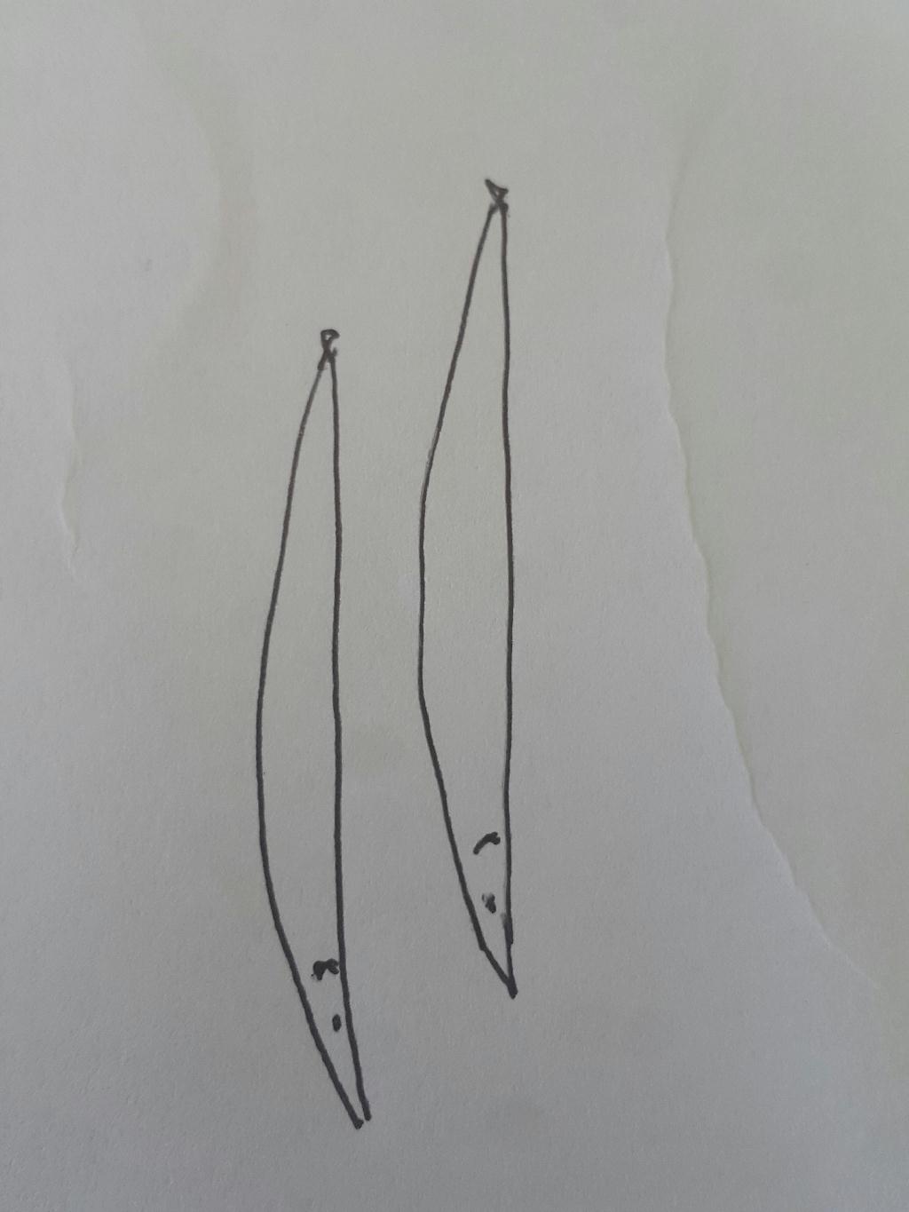 펀 다이빙 - OCEANIC QUEST IN BRUNEI - Abana pole