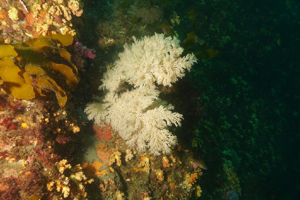 제주도 - 문섬(새끼섬)