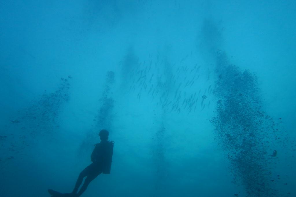 시밀란 - 태국 - Koh Bon