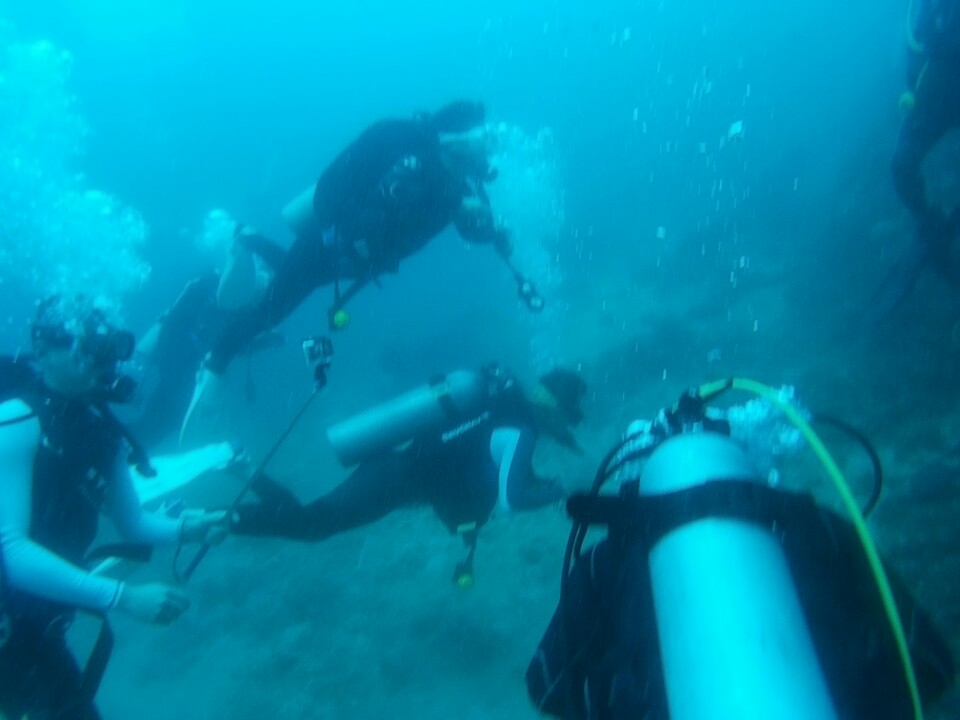 펀 다이빙 - 아닐라오 샤크다이브리조트 - 마이닛버블(mainit bubble)