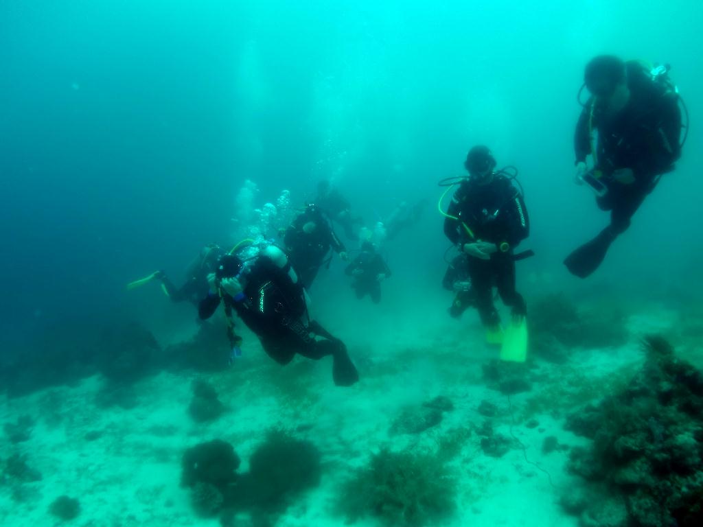 펀다이빙 - 세부 막탄 - 올랑고