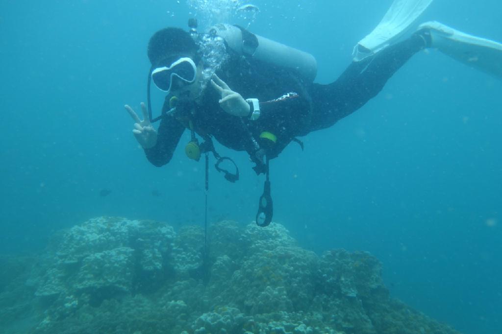 Advanced Open Water Naturalist Assist - 태국 꼬따오 - White Rock