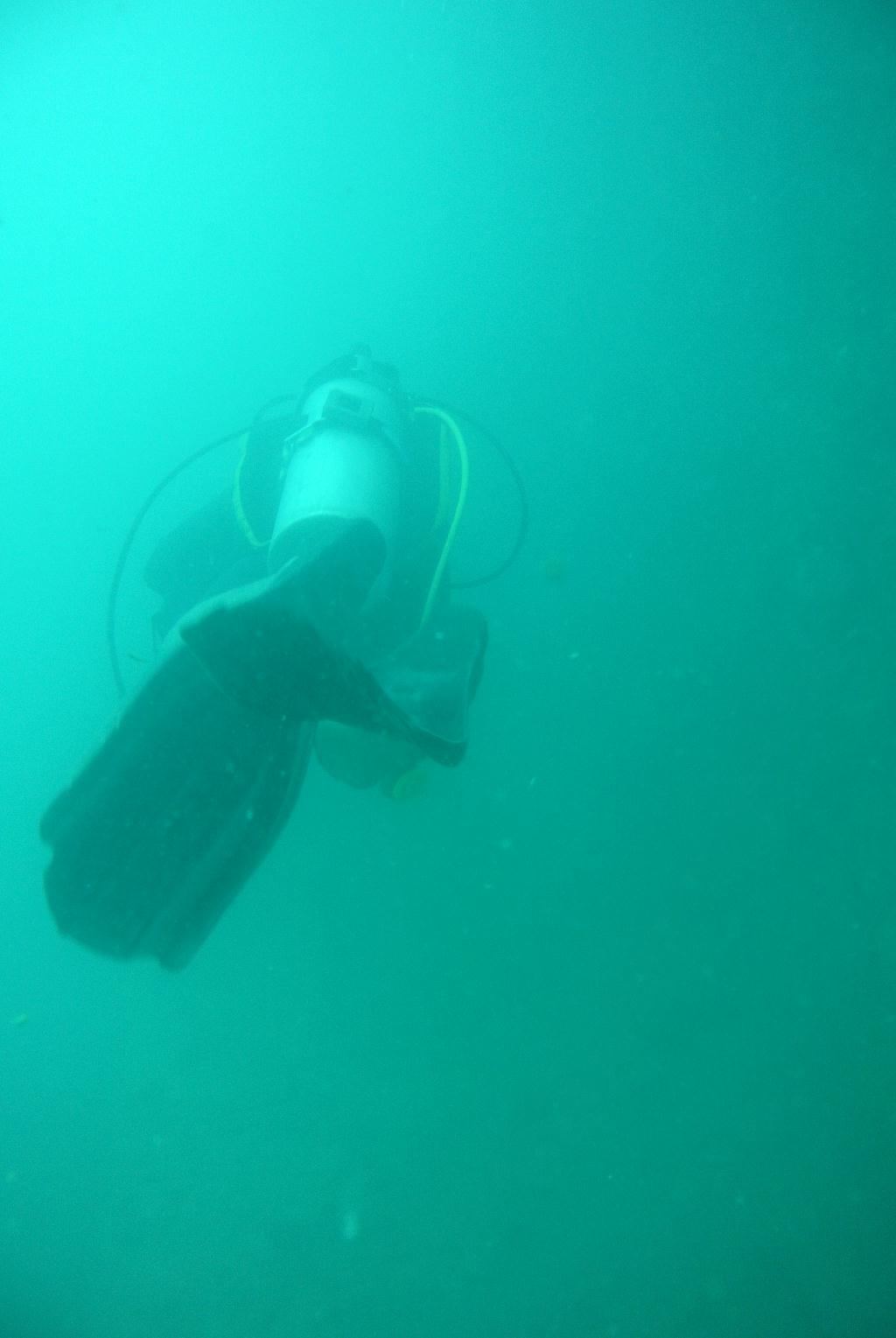 펀다이빙 - Oceanic quest in Brunei - dolphin wreck