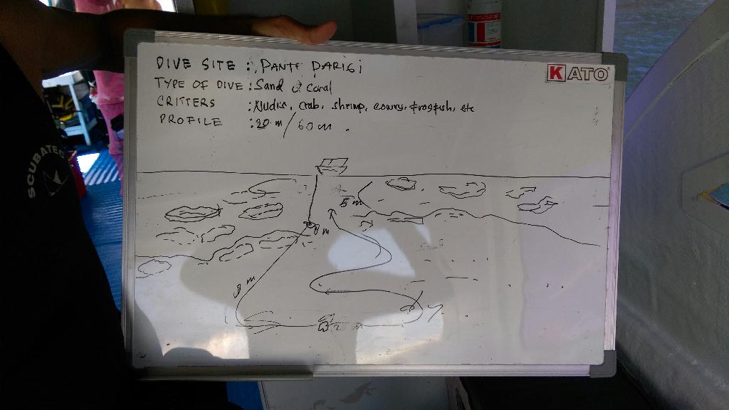 Lembeh strait - Pante parigi 1