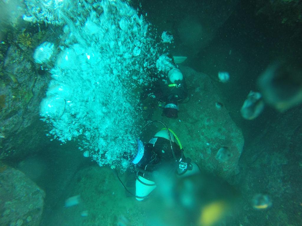 펀다이빙 - 강원도 양양 38마린리조트 - 아취