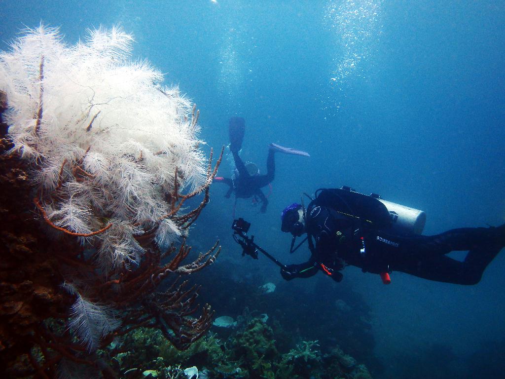 펀다이빙 - colon sanho dive - 트윈 픽스