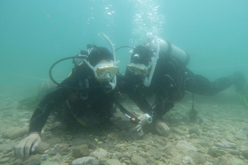 교육다이빙 - 고성 lf 문암 - 비취