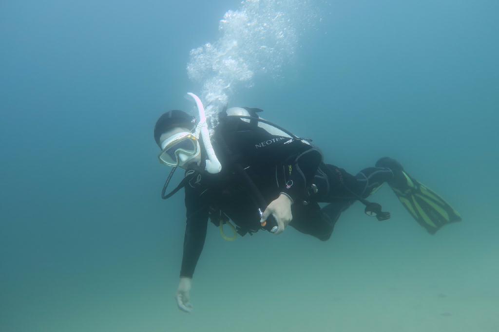 교육다이빙 - 고성 lf 문암 - 비취