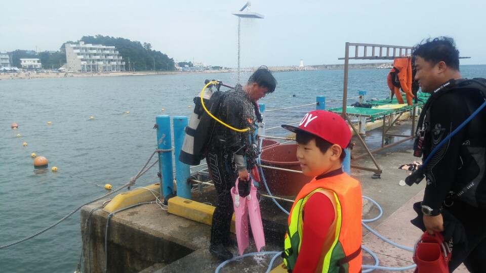 청간정 다이브 - 청간정 - 포켓몬