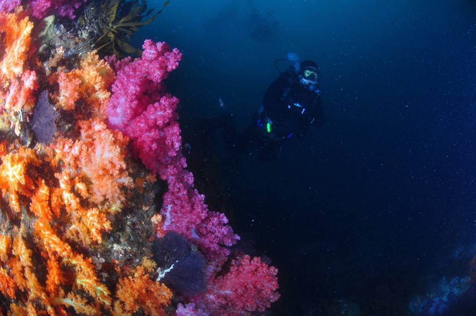 바람소리 스쿠버 다이빙 제주도 당일치기 (1) - 바람소리 스쿠버 다이빙 제주도 당일치기 (1) - 문섬새끼섬