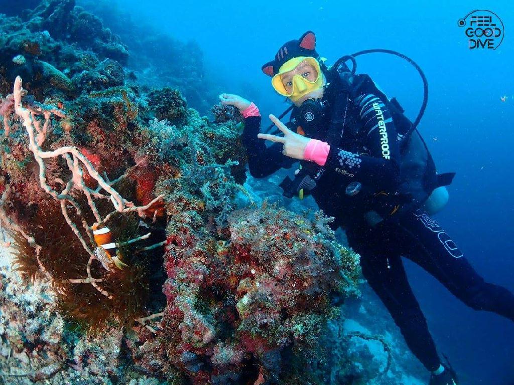 어드벤으 - 필리핀 세부 - 아구스