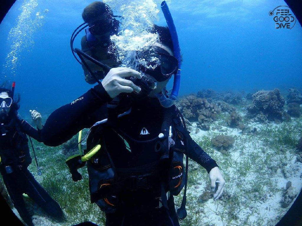 오픈워터 개방수역  - 필리핀 세부 - 올랑고