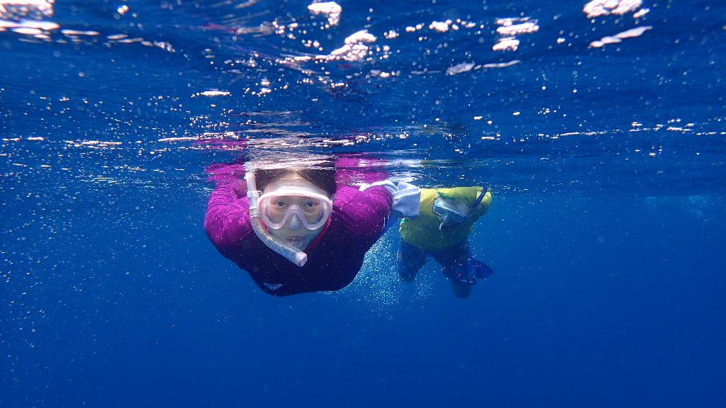 백깡기념사진 - 울릉도 - 코끼리섬