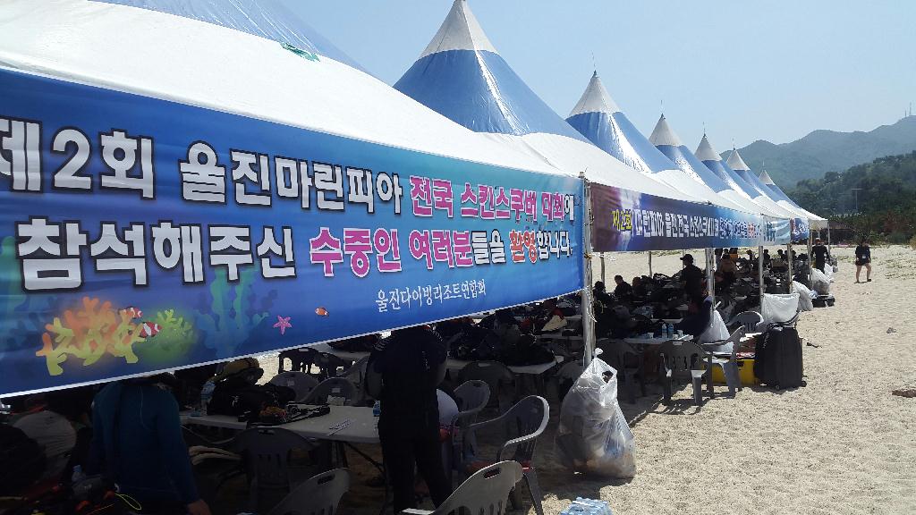 대회 - 울진전국 스킨스쿠버대회 - 울진해양스포츠센터 앞파다