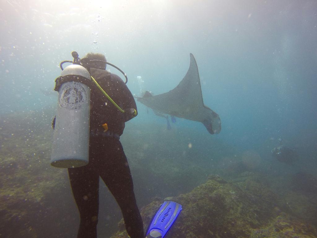 펀다이빙 - 발리 - 누사페니다 만타 포인트