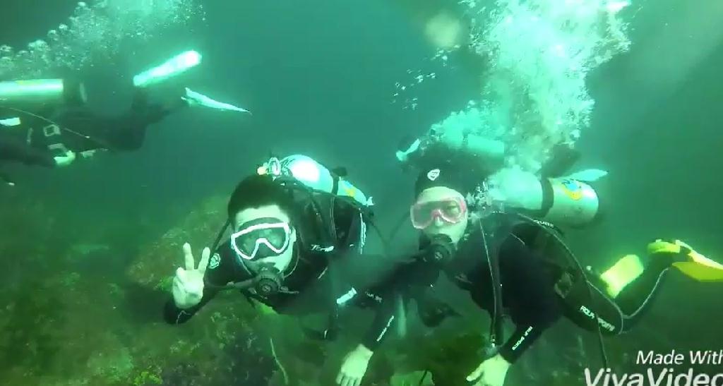 문섬 펀 다이빙 - 제주도 - 문섬