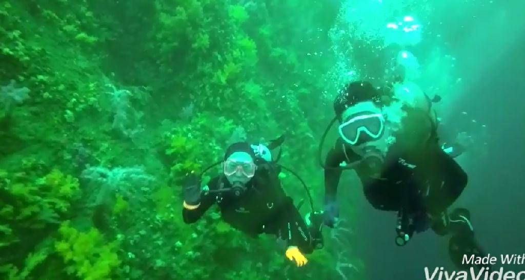 문섬 펀 다이빙 - 제주도 - 문섬