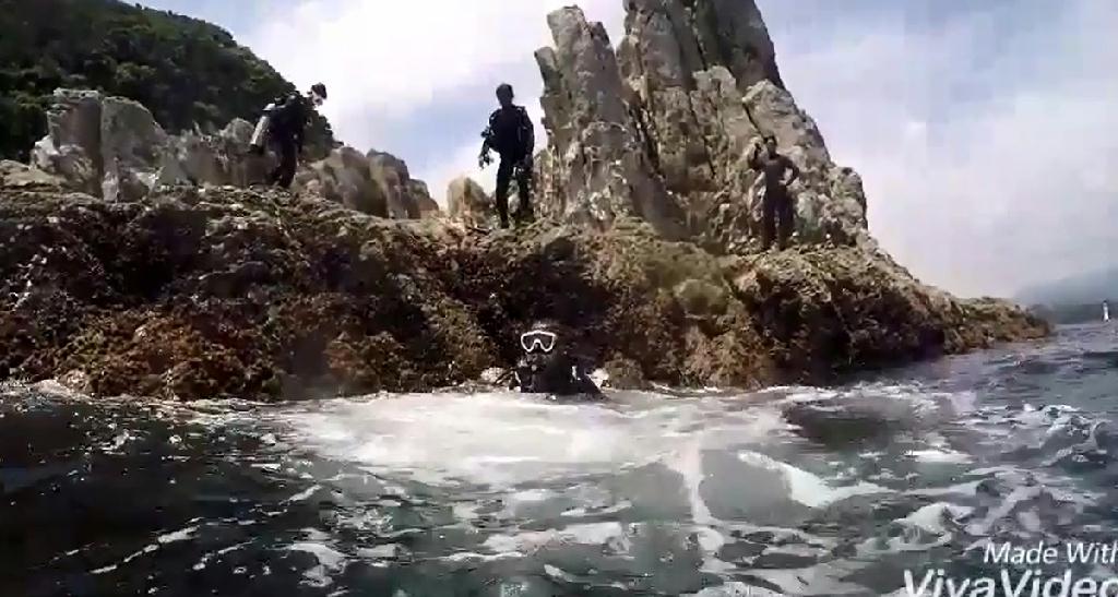 문섬 펀 다이빙 - 제주도 - 문섬