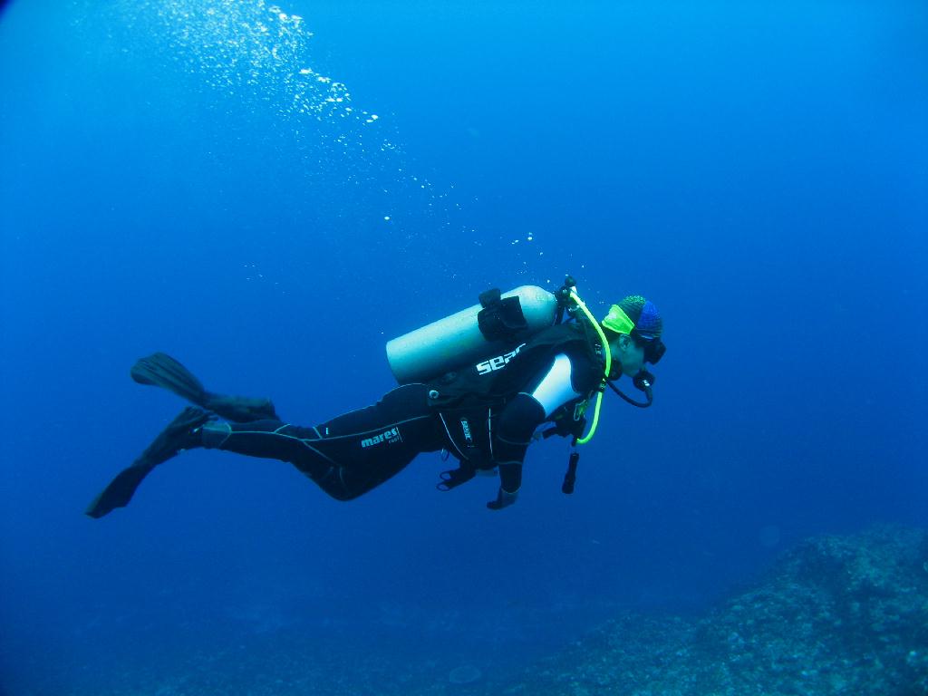 오키나와 토카시키섬 - イラブヤー