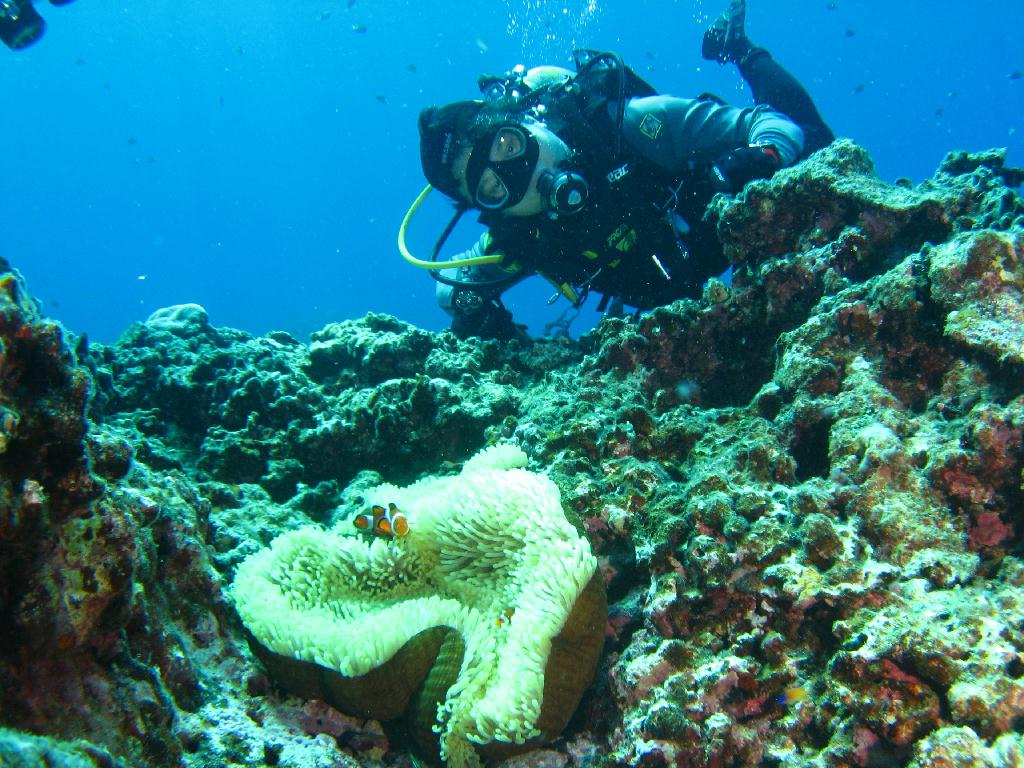 오키나와 토카시키 - 儀志布水路