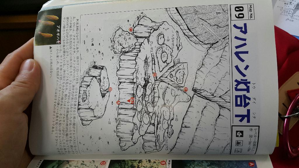 오키나와 토카시키 - 토다이시타